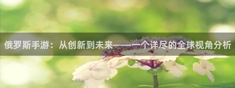 28大神专业版app下载页面：俄罗斯手游：从创新到未来——一