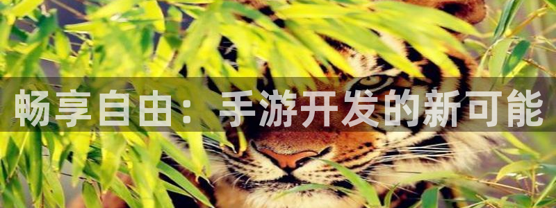 大神吧pc28在线预测网:畅享自由:手游开发的新可能