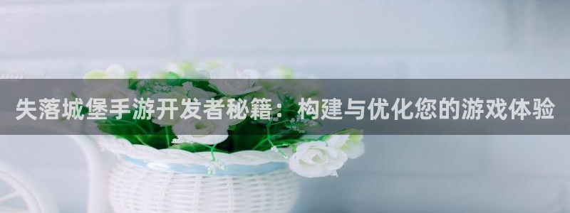 大神pc28开奖官网:失落城堡手游开发者秘籍:构建与优化您的