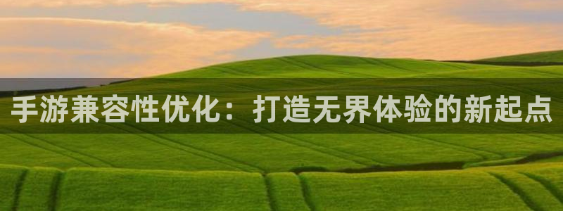 28大神加拿大在线预测：手游兼容性优化：打造无界体验的新起点