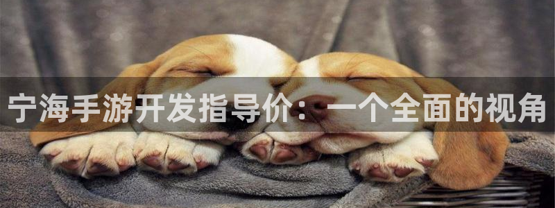 28大神网：宁海手游开发指导价：一个全面的视角