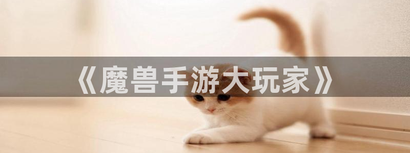 28大神6.0.0版：《魔兽手游大玩家》