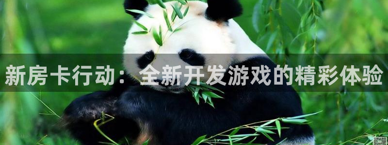 大神在线开奖28：新房卡行动：全新开发游戏的精彩体验