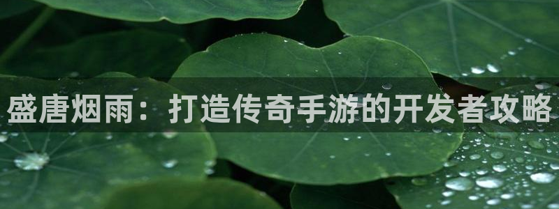 雷火电竞杀最厉害三个组合是谁：盛唐烟雨：打造传奇手游的开发者