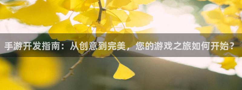 28大神开奖结果预测下载：手游开发指南：从创意到完美，您的游