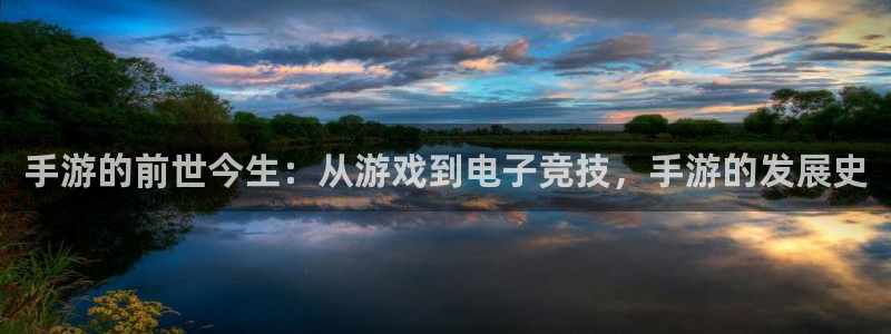 28大神吧怎么进不去了：手游的前世今生：从游戏到电子竞技，手