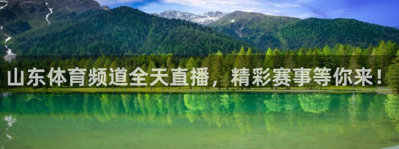 qy球友会体育网站：山东体育频道全天直播，精彩赛事等你来！