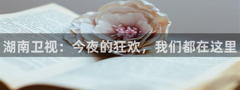 球友体育免费下载：湖南卫视：今夜的狂欢，我们都在这里