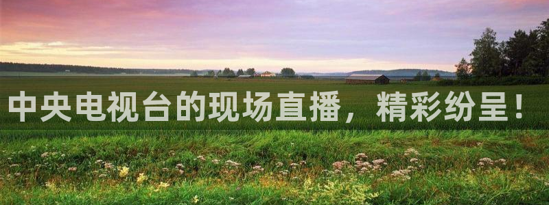 球友体育直播：中央电视台的现场直播，精彩纷呈！