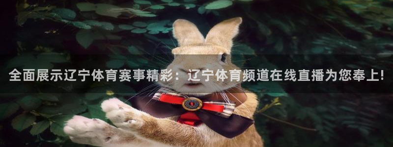 球友会体育：全面展示辽宁体育赛事精彩：辽宁体育频道在线直播为您奉上!