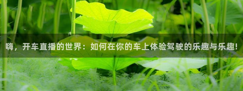 球友直播ios